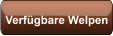 Verfügbare Welpen