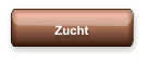 Zucht